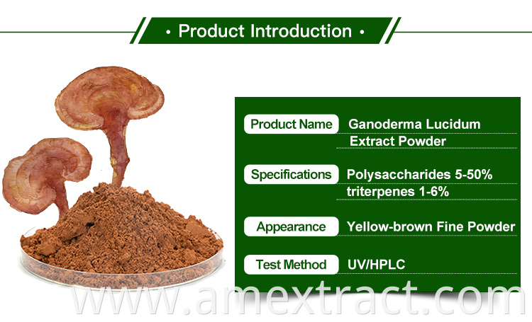Reishi mushroom extract powder